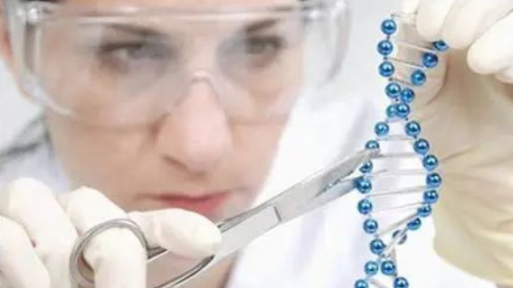 生物技術(shù)實(shí)驗(yàn)室儀器設(shè)備配置清單(圖1)