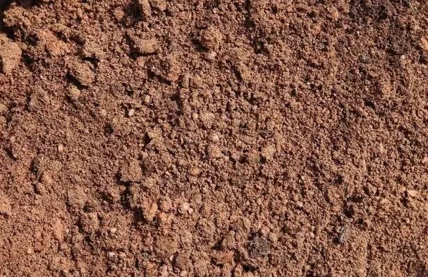 我國開啟第三次全國土壤普查,具體檢測指標都包括以下內(nèi)容(圖1)